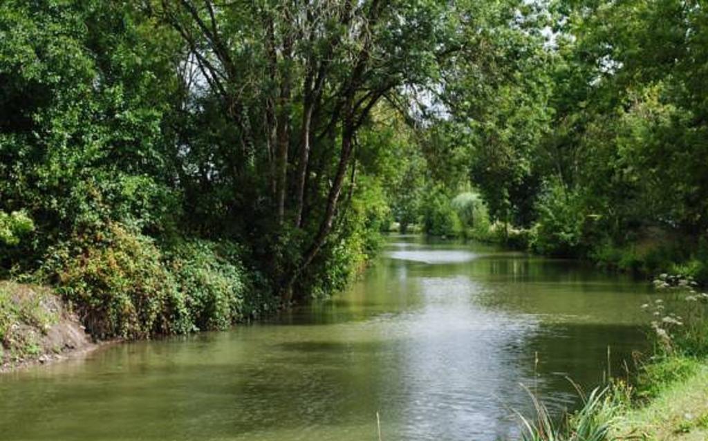 La Poussardiere Saint-Martin-sous-Mouzeuil Luaran gambar